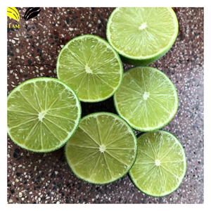 Citron vert frais d'exportation du Vietnam, couleur verte naturelle et jus riche, pour la distribution en gros - Product Image 1