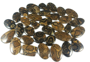 Cabochon de stromatolite naturel en gros, cabochon de stromatolite en vrac pour bijoux, cabochon pour la fabrication de pendentifs et bagues en argent - Product Image 4