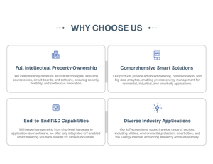 ZHONGYI EM-135G 1S ANSI Prises de compteur électrique Monophasé kWh Énergie Compteurs d'électricité Affichage numérique analogique Classe de précision - Product Image 6