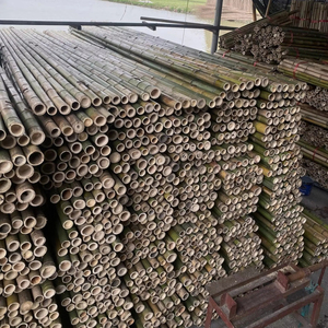 Poteaux en bambou du Vietnam, surface lisse, diamètre uniforme, pour le marché d'exportation - Product Image 2