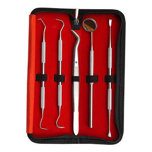 Kit de nettoyage dentaire professionnel 5 pièces en acier inoxydable certifié CE Garantie de 3 ans par Grip Surgical - Product Image 1