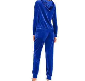 Casual Solid Color With Logo Women's Solid Color Hooded Tracksuit Full Sleeve Zipper Closure Casual Wear Autumn Regular - Product Image 2