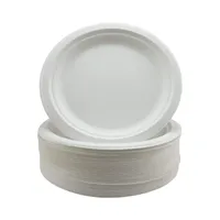 Naturalcart PR6 Nos assiettes rondes en papier jetables 100% biodégradables et compostables, respectueuses de l'environnement, pour les fêtes et les plats à emporter
