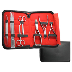 Kit d'instruments de podologie, coupe-ongles incarnés et ciseaux, lime à ongles, ensemble de pédicure en acier inoxydable avec étui, instruments de podologie - Product Image 1
