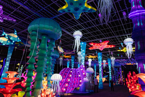 कारखाने अनुकूलन चमकदार सजावट बाहरी क्रिसमस रोशनी 3 डी स्ट्रीट मोटिफ लाइट - Product Image 3