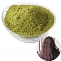 Poudre de feuilles de Sidr 100 % pure pour un nettoyage en profondeur et un soin revitalisant. Poudre de Sidr naturelle pour les soins des cheveux et de la peau à prix avantageux, provenant d'Inde.