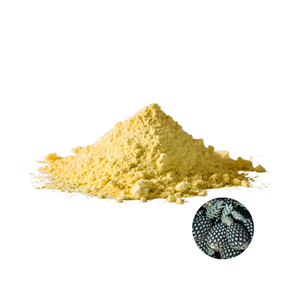 Fabriqué au Vietnam Prix de gros Meilleure vente Qualité export Poudre de peau d'ananas séchée Emballée en sac de 10 kg - Product Image 1