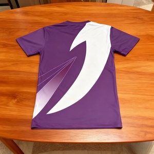 Quick Dry Sports T <b>Shirt</b> Printed Casual <b>Polyester</b> T-<b>Shirt</b> DTG Sublimation Print t <b>Shirts</b> with Custom Logo Sports <b>Shirt</b> Printing - Product Image 6