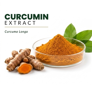 Extracto de Cúrcuma en Polvo (Curcuma Longa) 95% Curcuminoides, Extracto Herbal de Grado Alimenticio, Extraído con Solvente, para Suplementos Alimenticios - Product Image 1
