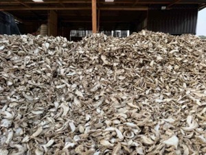 ถังบรรจุกระเป่าขนาด500กก. ทำจากขิงอบแห้งแบบพรีเมียมของประเทศไทยทำจากสมุนไพรคุณภาพสูง - Product Image 2