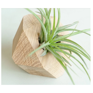 <b>Clear</b> Glass <b>Vases</b> & Flower Pots Jute Twine Wooden Design Mid Century Modern Shape-OEM Custom Wholesale | Aqudus Saleem India - Product Image 5