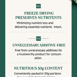 OEM Kale frisé biologique 100 pour cent Corée Superfood approvisionnement en vrac - Product Image 5