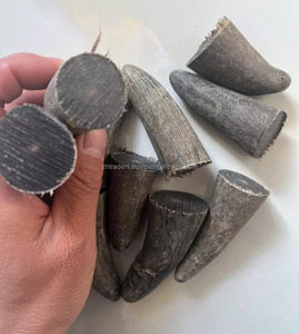 Puntas de Cuerno de Búfalo Natural, Pulido de Primera Calidad, Puntas de Cuerno de Búfalo, Buey y Vaca, Cuerno Natural Crudo de la India - Product Image 2