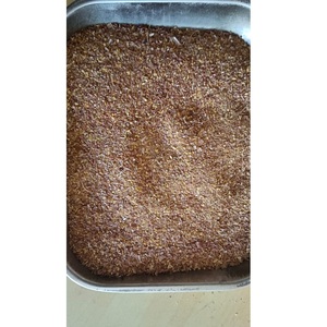 Harina de Sattu Premium de Cáscara de Garbanzo Seca Convencional, Empaque a Granel, Limpia, Mejora la Salud Intestinal, Bajo Precio - Product Image 1