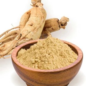 Poudre de Ginseng Pur en Vrac, Extrait de Racine de Panax pour l'Énergie, l'Endurance, la Concentration et l'Immunité – Qualité Alimentaire et Nutraceutique - Product Image 1