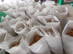 สาหร่ายคอตตันนี สาหร่ายแห้งสำหรับการสั่งซื้อจำนวนมาก การจัดหาเชิงพาณิชย์ และการดำเนินการค้าระหว่างประเทศ - Product Image 6