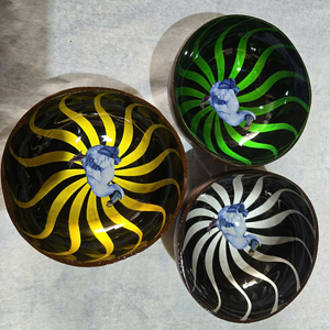 Bol à noix de coco écologique de qualité supérieure bol à salade peint multi-design pour la maison et restaurant prix compétitif - Product Image 3