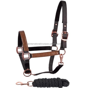 Concevez votre propre licol de cheval en nylon Double réglable casque et mâchoire oeillets trous conception personnalisée en nylon licou cheval à bas prix - Product Image 2