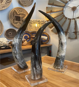 Buffalo <b>Decorative</b> Horn Acacia Wood Stand Design Wall Mounted Buffalo <b>Decorative</b> Horn At Affordable Price - Product Image 5