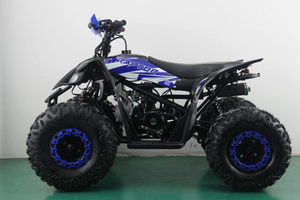 Quad 110cc Chithan durable à monter soi-même avec moteur puissant, garantie 3 ans, poignée en plastique, OEM/ODM pour enfants - Product Image 4