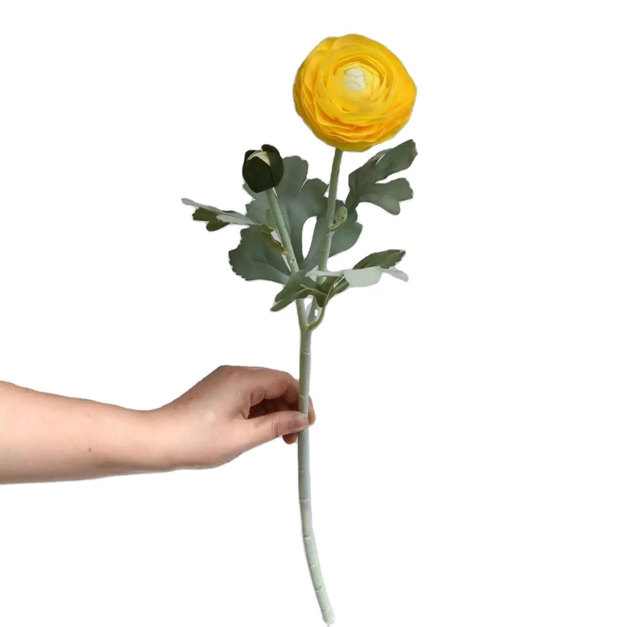 2024 50CM tek kök çiçek 2 kafaları ıslak Ranunculus Yellow cus sarı dekorasyon toptan