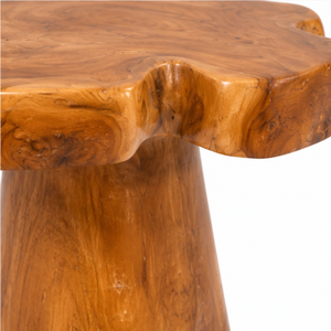 Table d'appoint ARTERRA de luxe faite à la main en racine de teck écologique et biologique, forme naturelle, table d'appoint moderne, table de chevet pour chambre à coucher - Product Image 4