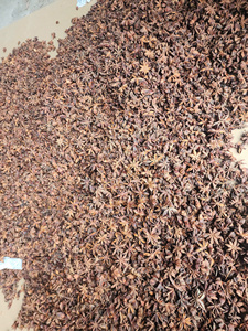 Anís estrellado entero seco, especias crudas de Vietnam, hierbas individuales para cocinar, uso herbal, 24 meses de duración. - Product Image 5