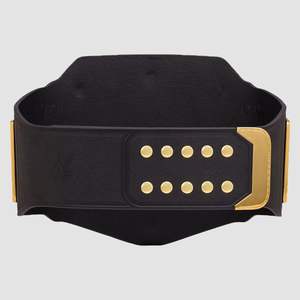 Réplica del Cinturón de Campeonato Indiscutible Universal - Product Image 2