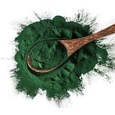 Poudre de spiruline biologique de qualité supérieure à prix de gros – Fournisseur en vrac pour l'alimentation et les compléments nutritionnels - Product Image 2