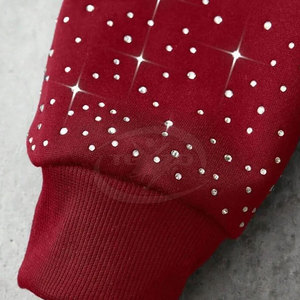 Sweat-shirts à capuche en coton 100% avec strass, style hiver, couleur unie, faible MOQ, nouveau design - Product Image 5