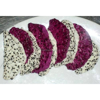 Premium Tropisch & Subtropisch Fruit Natuurlijke Smaak Gedroogde Gesneden Dragon Fruit Originele Smaak 25kg Bulk Vacuümverpakking