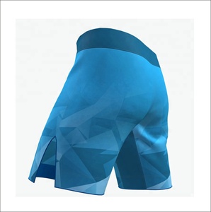 High Quality Heat-Transfer Printed Customized Boxing MMA Shorts with Stretch Comfortable Features - Product Image 5