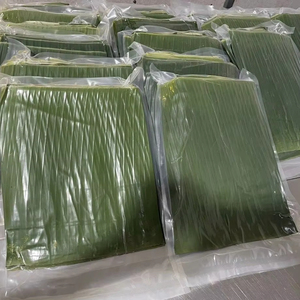 Proveedor de Hojas de Plátano Congeladas de Vietnam, Hojas Frescas Naturales para Envolver Alimentos, Cocinar al Vapor y Uso Culinario - Product Image 1