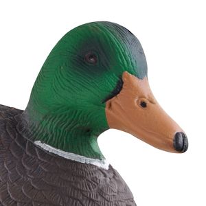 Richiami per Anatre Realistici Galleggianti in Legno con Caratteristica di Nuoto a Peso Anteriore per Caccia all'Aperto e Piscina - Product Image 3