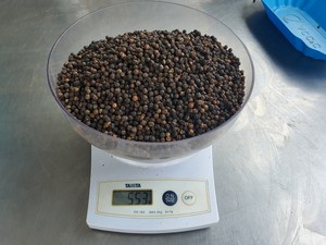พริกไทยดำเวียดนามขายดี คุณภาพสูง เครื่องเทศรสเข้มข้น อบแห้ง ราคาส่ง - Product Image 3