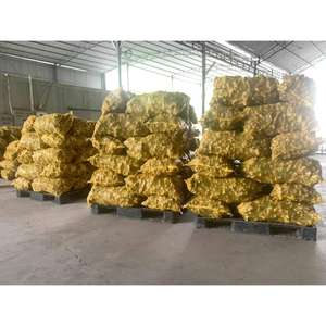 Traitement brut de rouleau de sangle flexible et durable de noyau de rotin de pp personnalisable pour le style séché de meubles et d'agriculture - Product Image 4