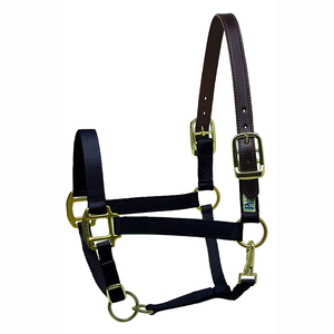 Equipo de entrenamiento ecuestre de cuero para caballos, tamaño personalizable, brida de cuero múltiple, estilo inglés y occidental, mejor precio al por mayor - Product Image 2