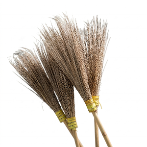 Balai à feuilles de coco pour jardin extérieur avec manche en bois et fibres de coco - Product Image 2