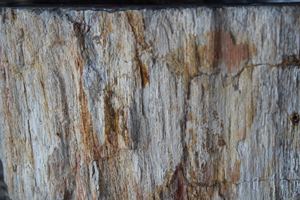 Lavabo de Madera Antigua - Product Image 5