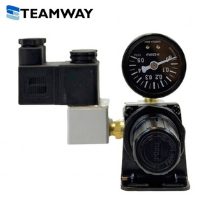 Unité pneumatique intégrée TEAMWAY POSU : Régulateur d'air PRN2000-02 avec électrovanne R07-3V2-220V (port 1/4 pouce) - Product Image 4