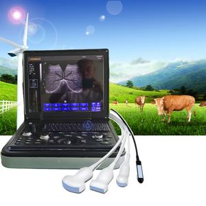 Appareil d'<span class=keywords><strong>échographie</strong></span> vétérinaire pour vache, cheval, chat, chien, <span class=keywords><strong>échographie</strong></span> <span class=keywords><strong>Doppler</strong></span> couleur portable - Product Image 1