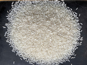 ARROZ GULFOOD VIETNAM |   Gulfood 2026 ARROZ: Arroz Japonica, Arroz Jazmín, Arroz de Grano Largo - Product Image 6
