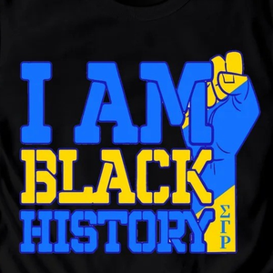 เสื้อยืดแขนสั้นสีดำ Sigma Gamma Rho คอกลมคลาสสิก สไตล์ลำลอง ใส่เล่นกีฬาได้ ระบายอากาศดี ใส่ได้ทุกวัน พิมพ์โลโก้ตามสั่ง - Product Image 5