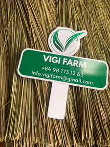 Bâtons de balai en coco du Vietnam de qualité supérieure pour la fabrication de balais à haute durabilité - Product Image 4