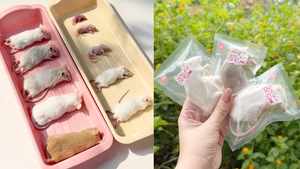 หนูแช่แข็ง XS 3-4 กรัม อาหารงูคุณภาพสูง โปรตีนสูง อาหารหนูสัตว์ฟันแทะ ขายส่งจำนวนมาก ปราศจากซัลโมเนลลา โภชนาการเสริมด้วยสารชีวภาพ - Product Image 2