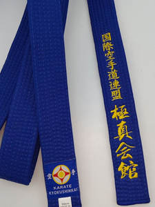 Équipement d'arts martiaux, ceinture de taekwondo/karaté pour l'entraînement, ceinture d'arts martiaux pour l'entraînement au taekwondo - Product Image 2