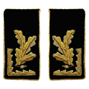 OEM de haute qualité : Écussons 3D, Écussons de col argentés, Écussons de col en tissu noir à motif feuille avec bouton plaqué et clip en laiton, Épingles de col personnalisées Ronpen - Product Image 6