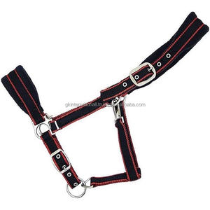 Licol cheval réglable coloré, équipement d'équitation rembourré en polyester et nylon, avec matériel métallique solide, meilleure vente - Product Image 2