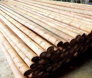 Vietnam Bamboo <b>Poles</b> <b>for</b> Construction, <b>Garden</b> & Furniture - Product Image 2