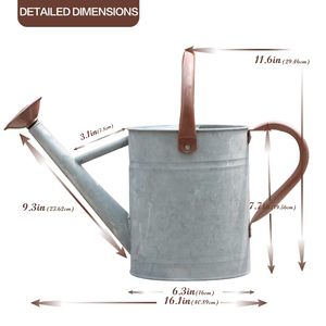 Arrosoir en métal galvanisé pour plantes d'intérieur et d'extérieur, arrosoir de jardin rustique avec long bec, arrosoir décoratif pour fleurs - Product Image 5